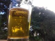 Cerveja Raposiana