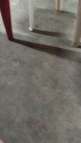 Restaurante Saborear