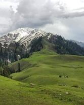 Caffetteria Tabacchi Giornali Di Domenino Cristina