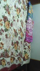 Savan Guest House & Restaurant