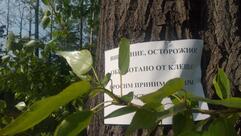 Проспект