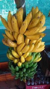 QUEEN TASTE Bakery ക്വീൻ ബേക്കറി