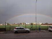 Art Cafe Sas Di Napolitano Lucio Co