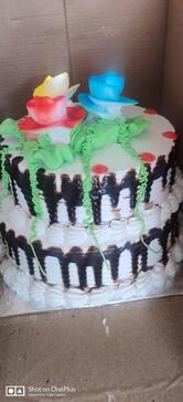 Shree Misthan Bhandar & everfresh