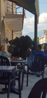 Eredi Toffolo Venilio S.N.C. Di Vidale Maria E Figli