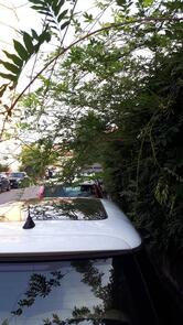 Antica Osteria (Trattoria)