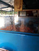 hkgn egg rice centre