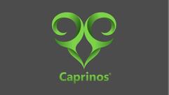 Caprinos Pizza Crewe