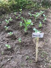 Outside In - the satvic retreat