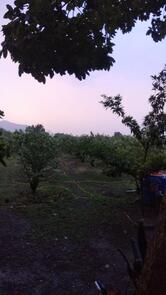 हॉटेल साई पॅलेस