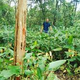 Chácara Oliveira Rios