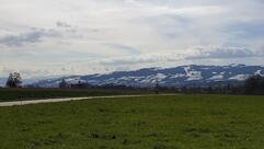 Wirtschaft zum Bühlhof