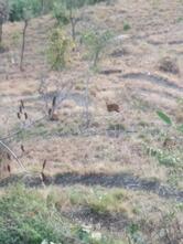 Kailash View Restaurant