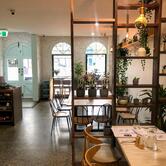 Matta Cafe