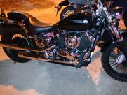 Tropicana Bar e Drinks