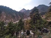 Sagar Taxi Service Mussoorie