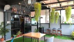 Mr. Tortoise cafeteria