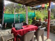 Village and Wild Cafe