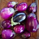 Boulangépicerie Champain Wanze