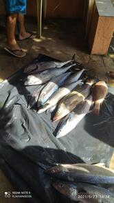 Barraca Santo Antônio