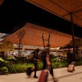 Wooden Tap Beer - Floripa Airport