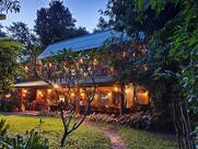 Our Jungle House