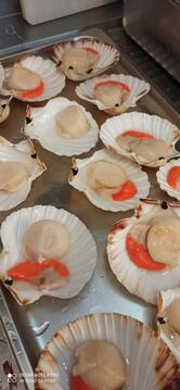 ristorante orientale 东方酒楼