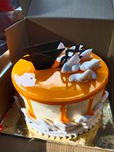 Day 2 Day Bakers - Online Cake Delivery Shop in Gwalior Photo, Chocolate, Fondant and Fruits Cakes