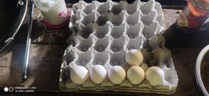 BURA FASTFOOD CENTER