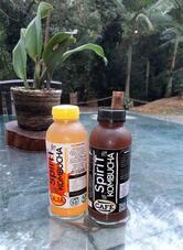 Casa Netuhria Kombucheria Bistrô