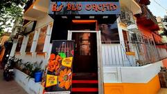 BLU ORCHID- Best Restaurant Near Gariahat, Ballygunge