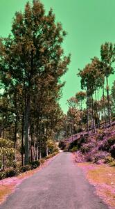 Tea Coffee Available