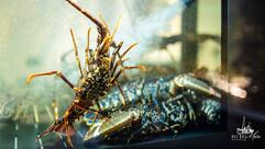 Punto Mare Restaurant