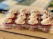 Dark Purple chocolate studio