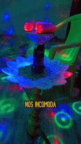 Conveniência e tabacaria Los Primos