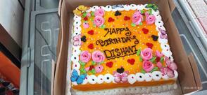 Delight Bakery & Cream Parlour