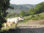 Agriturismo La Capanna