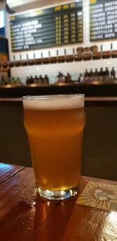 Hangar T6 Listening Bar