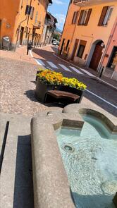 Fornaio Fratelli Martinelli di Andrea e Manuel S.N.C.