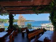 Oliva Grill Lanterna Camping