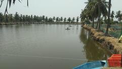 Sai Priya Family Restaurant