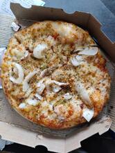 Domino's Pizza Model Town, Panipat