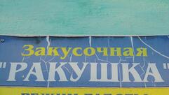 Ракушка