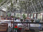 Bonsai House Ratchaburi