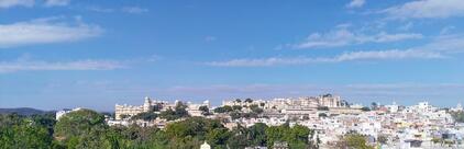 Grapevine - Rooftop Tavern