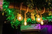 ZWARMA - TUMMY TREATS