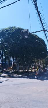 Restaurante Hart Grill