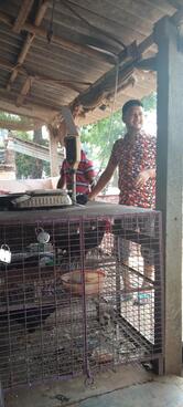 Mallick Chicken Centre