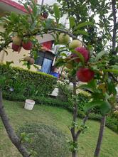 Shiri Ganesh bhagwati restaurant and guest house