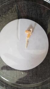 Tasty Poke - Marconi